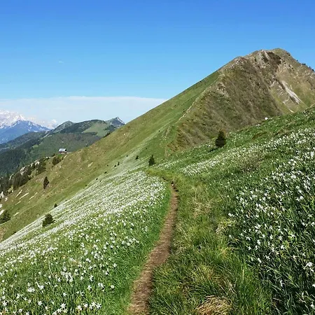 Lejlighed Hillside *
