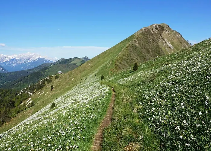 Appartement Hillside *